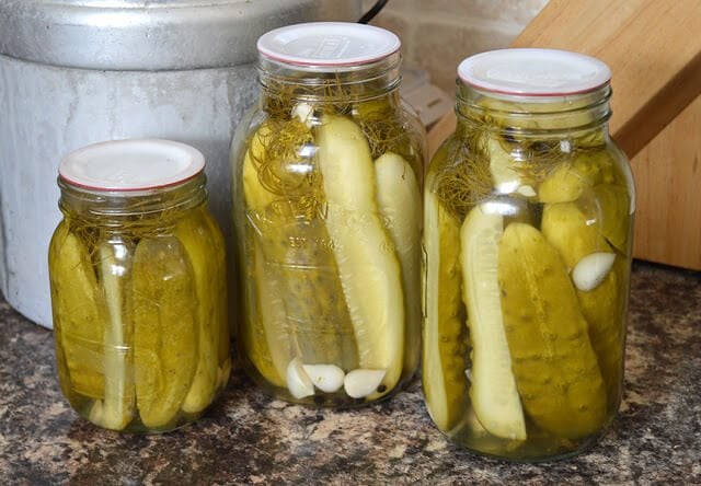 Finished jars of dill pickles