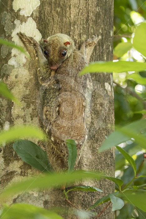 Close-up shots of local staff proudly showcasing their skills