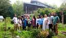 From Garden to Table: Seed Saving & a Grateful Tha...