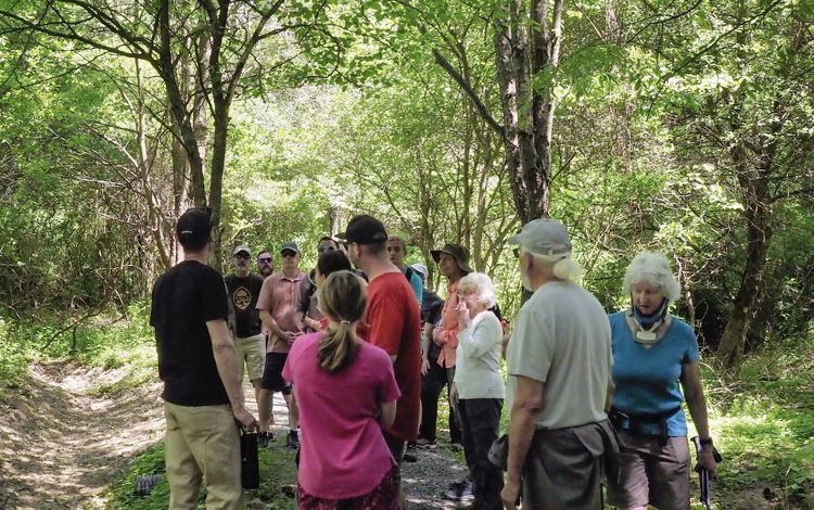Accessible Trail Beech Mountain