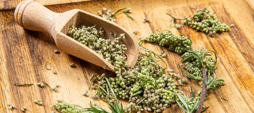 Reviving Ancestral Seeds for a Resilient Future:...
