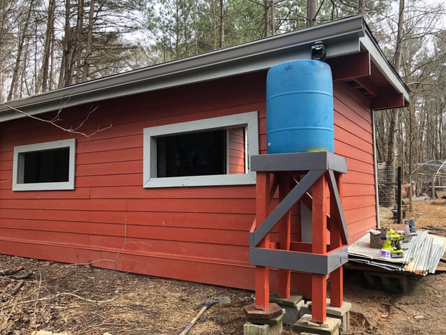 A rain barrel system set up next to a charming farmhouse with weathered siding, with a downspout diverting rainwater into the barrel. The barrel is partially obscured by climbing ivy.