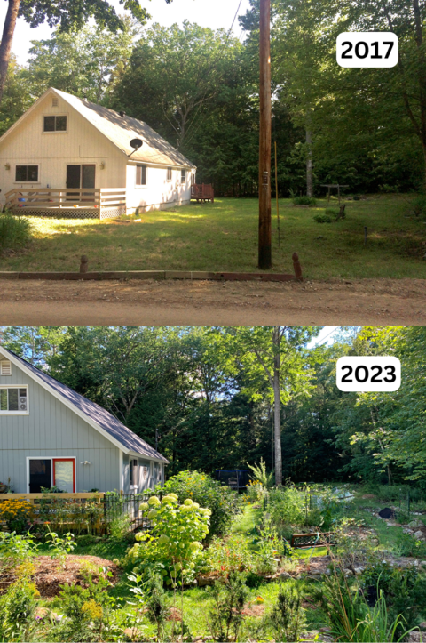 Autumn's Gold: Unlock the Power of Composting Y...