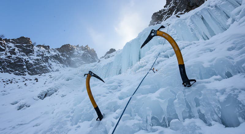 A close-up image of a wolverine in its natural habitat, captured using a telephoto lens.