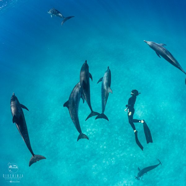 Luxury cruise ship sailing through the Norwegian Fjords