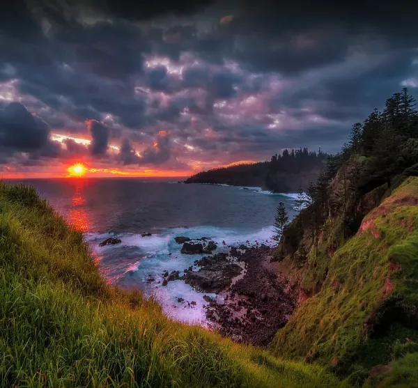 Norfolk Island coastal view with pine trees