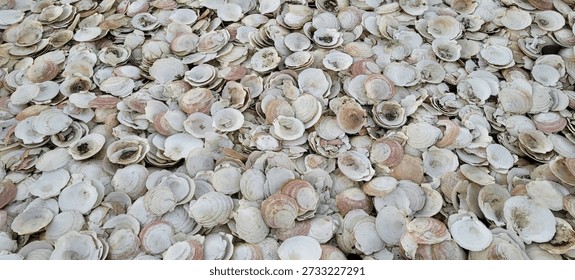 Close-up of bakeapple berries being foraged
