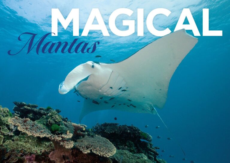 Diagram illustrating the SWAC system, showcasing the intake of cold seawater from the ocean depths and its circulation through a heat exchanger, with a caption explaining its process and benefits for the environment.