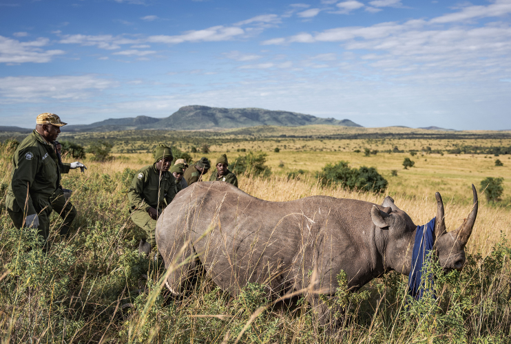 Singita Faru Faru Lodge Pool