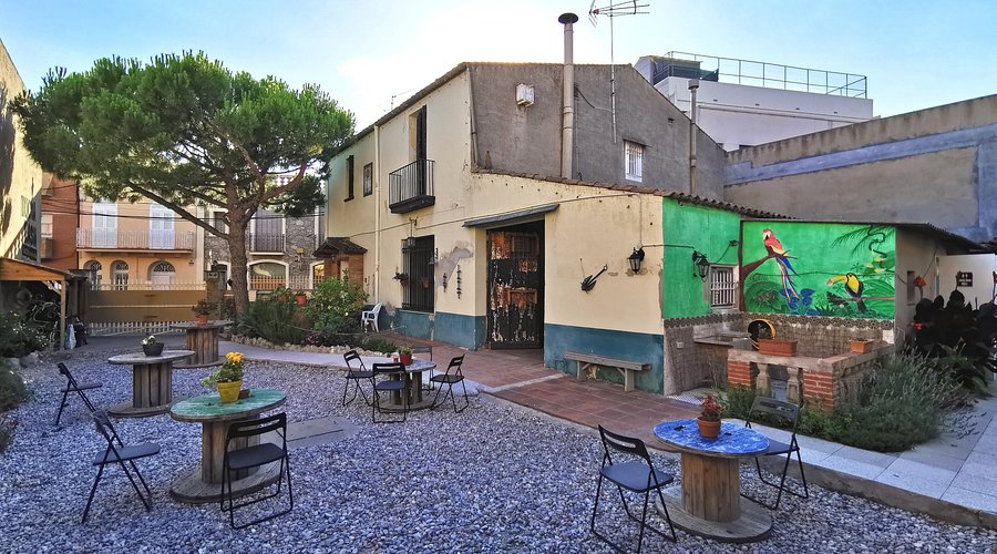 The Wanderer's Rest Courtyard: A sunny courtyard filled with mismatched furniture and potted plants. A welcoming and relaxing space.