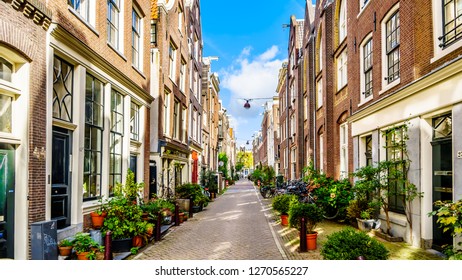 # The Dylan Amsterdam: A Textile Designer's Oasis...