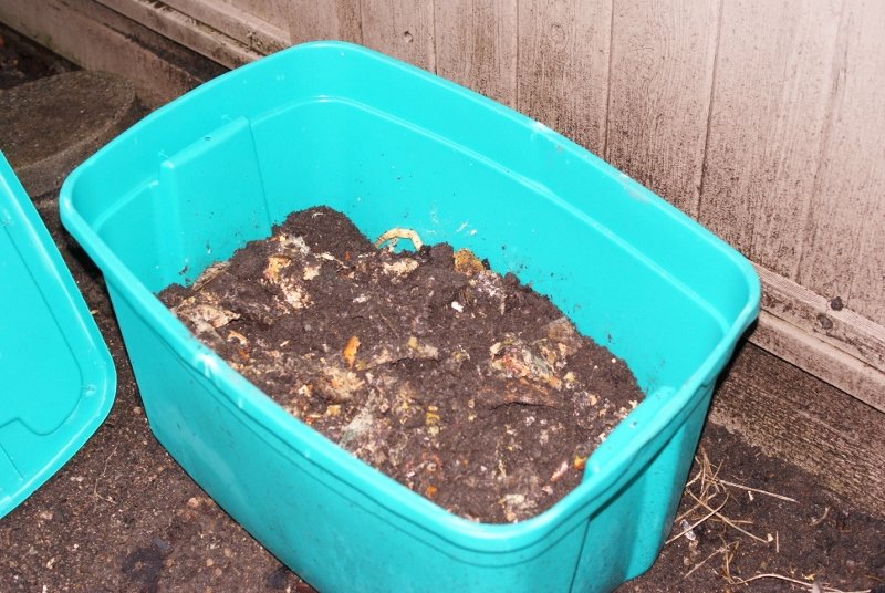Embrace the Rot: How Bokashi Composting Transfo...