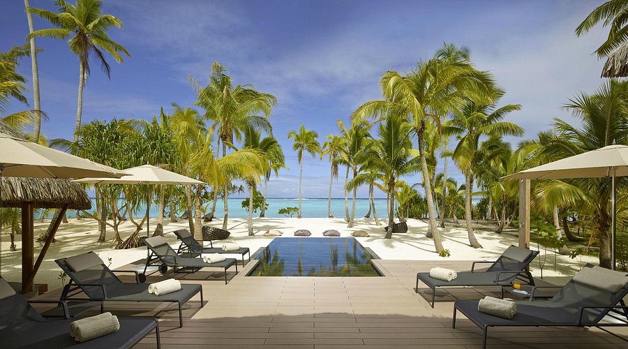Kai holding a coral fragment, planting it on a reef.