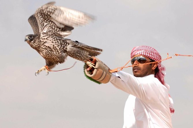 Falconry demonstration in the Dubai Desert Conservation Reserve