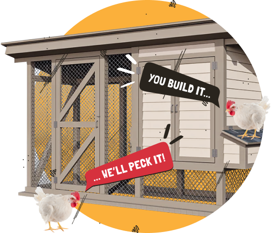 Illustration depicting frame construction for a chicken coop.