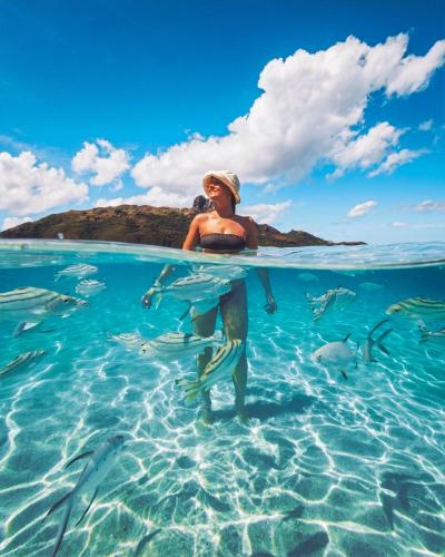 # Unfiltered Fiji: Escaping the Crowds in the Yasa...