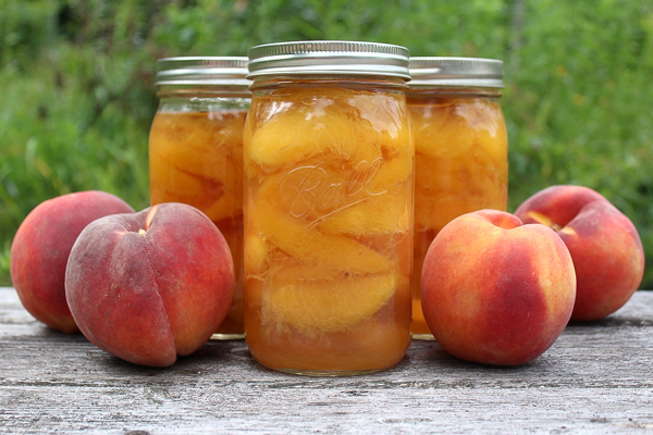 Peaches ready to be canned