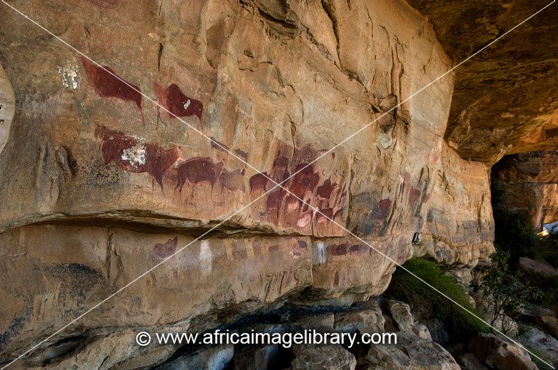 Ancient rock paintings depicting animals and human figures adorn a rock face in the Drakensberg Mountains.