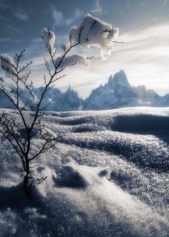 ## From the Alps to Argentina: Reconnecting with M...