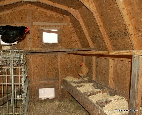 Compost bin made from reclaimed wooden pallets, with layers of chicken manure, straw, and leaves inside.