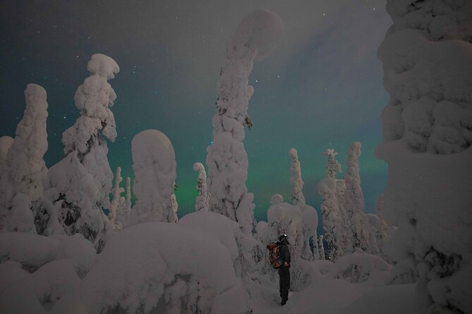 A stunning wide shot of a snow-covered Lapland landscape at twilight, showcasing the vastness and beauty of the Arctic winter.