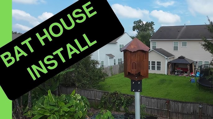 Aro Palace Hotel, Brasov, Romania, showcasing its classic architecture and grand appearance