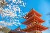 ## Lost in Translation, Found in Kyoto: A Millenni...