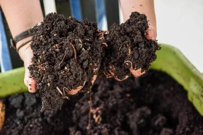 Two side-by-side photos: one showing a simple indoor worm bin under a kitchen sink, the other showing a larger outdoor worm bin in a shaded garden area.
