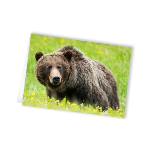 The inside of a cabin, showing a crackling fireplace, comfortable furniture, and a view of the snow-covered landscape through the window. (Warm, inviting lighting)