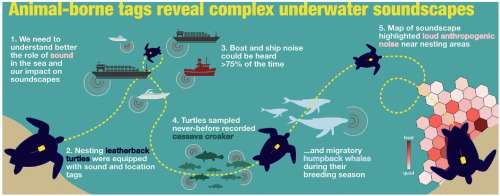 Glass Beach, California