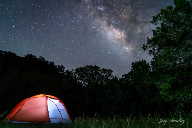 Olivia taking a picture of fall foliage with a Pentax K1000 film camera, surrounded by trees
