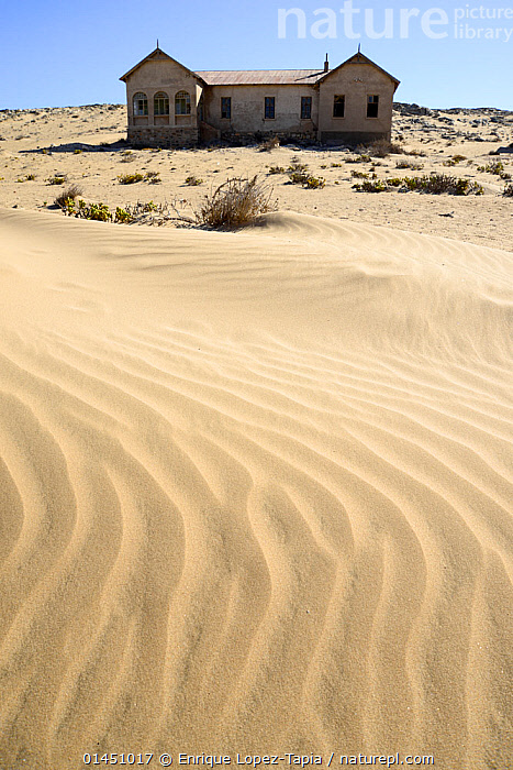 Close-up shot of a seal nursing its pup