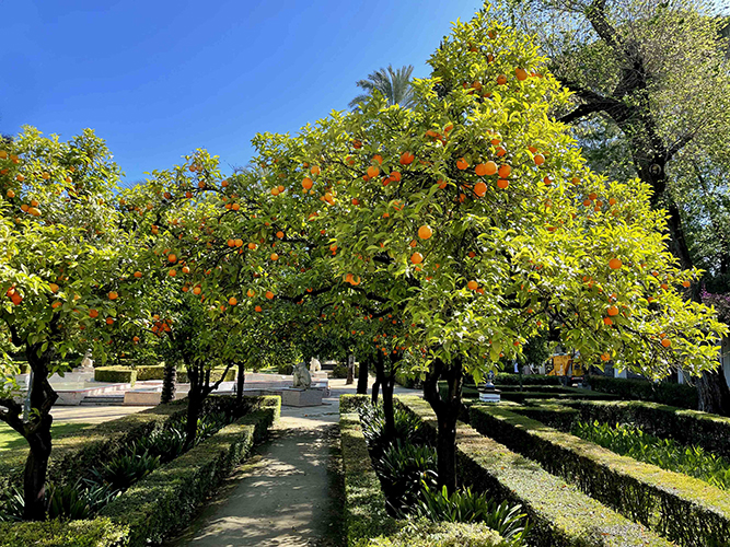 # Seville in Spring: A Romantic Tapas and Architec...