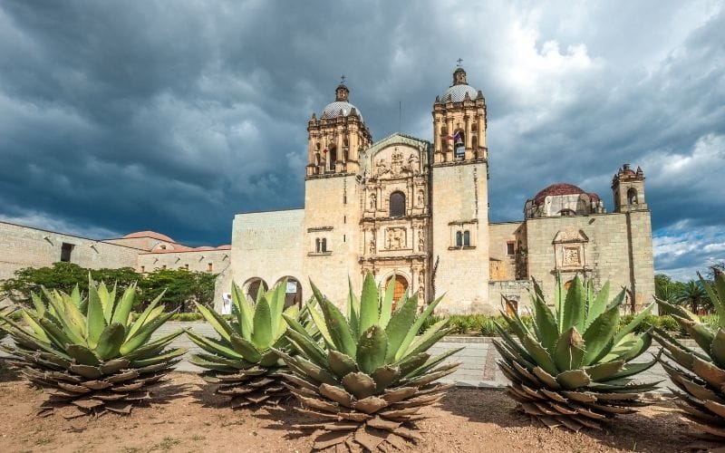 A beautiful agave field in Oaxaca with Santo Domingo church in the background, showcasing the region's natural beauty and cultural heritage.