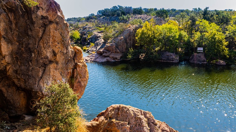Lily kneels down next to a log, carefully opening a geocache container while Michael and David supervise with smiles.