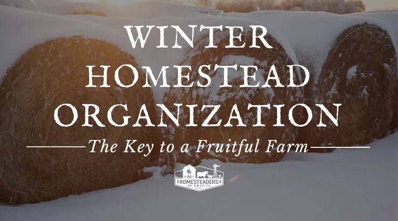 Winter Homestead Organization