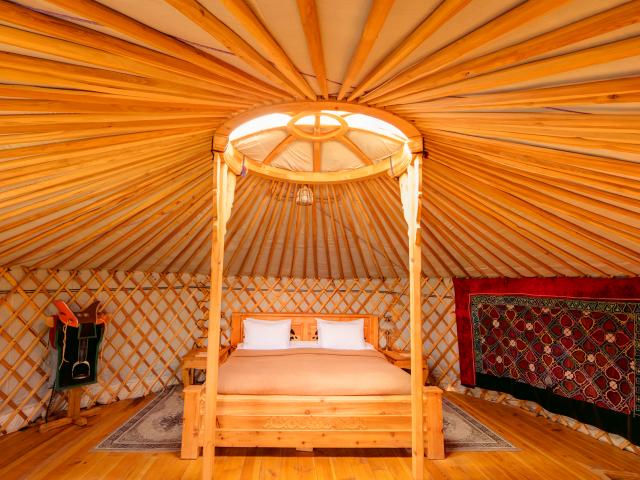 Aisha placing a camera trap in the Gobi Desert to monitor Gobi Bear populations