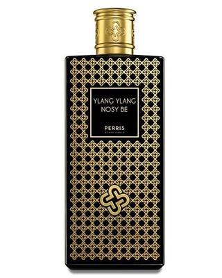 Black Lemur in Lokobe Reserve