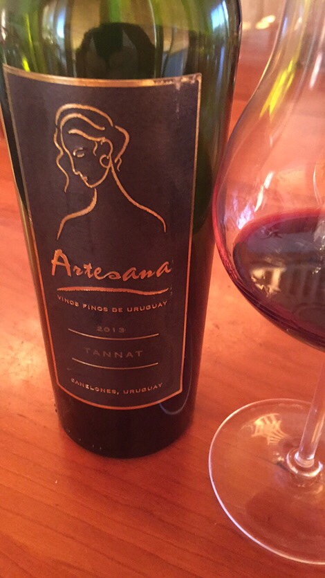 A vast vineyard in Canelones, Uruguay, with rows of grapevines stretching into the distance.