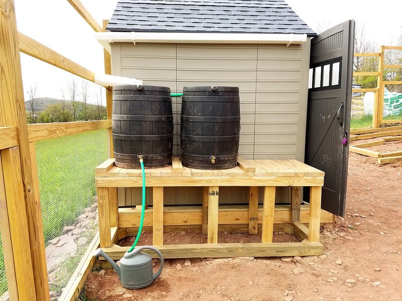 Rainwater Revival: Transforming Your Homestead G...