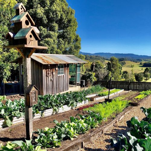 7 Easy Ways to Make Your Garden More Pollinator...