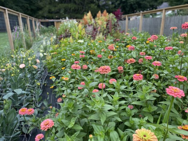 arrangement seasonal flowers gathered cutting garden