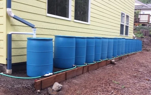 Harvest the Sky: Build a Beginner-Friendly Rain...