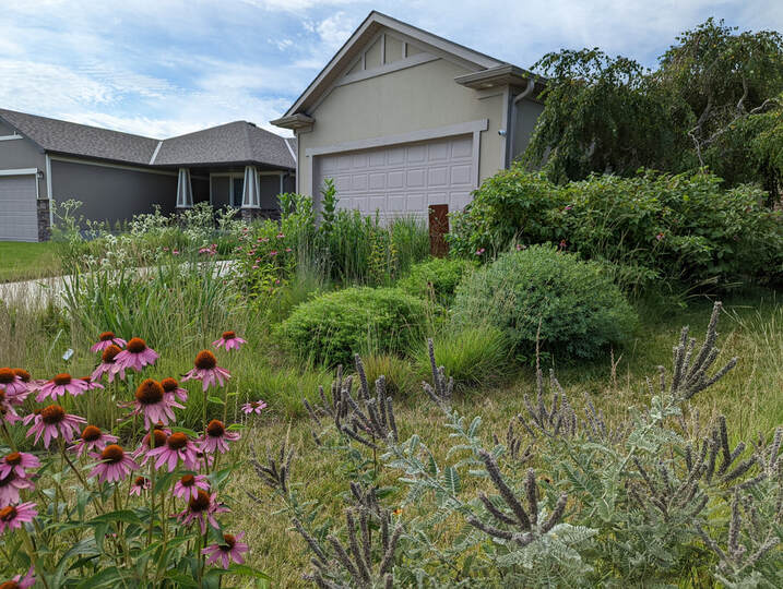 Wide shot of a thriving farmhouse garden filled with blooming native plants and butterflies fluttering around. The scene should evoke a sense of peace and tranquility.