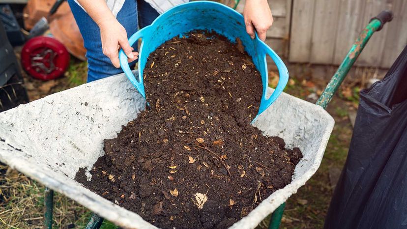 hands using compost thermometer monitor heat