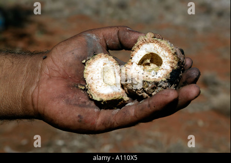 Under the Stars Storytelling