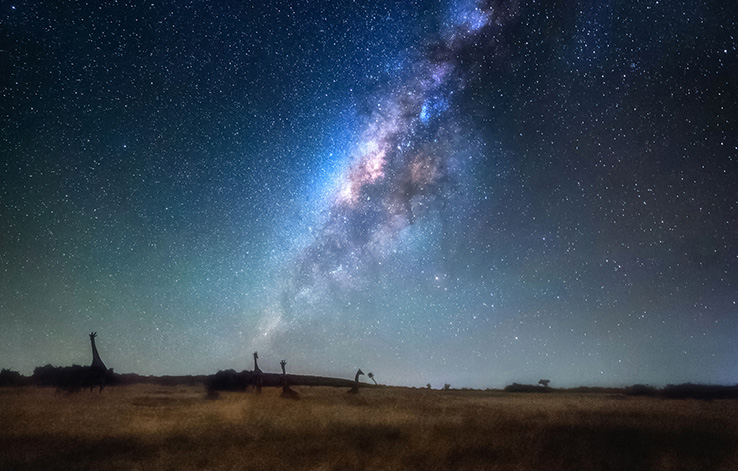# Namib Nights: Unveiling the Cosmos Through Ancie...