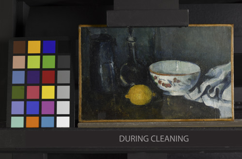 Close-up of various citrus fruits and ingredients for homemade cleaning on a wooden table