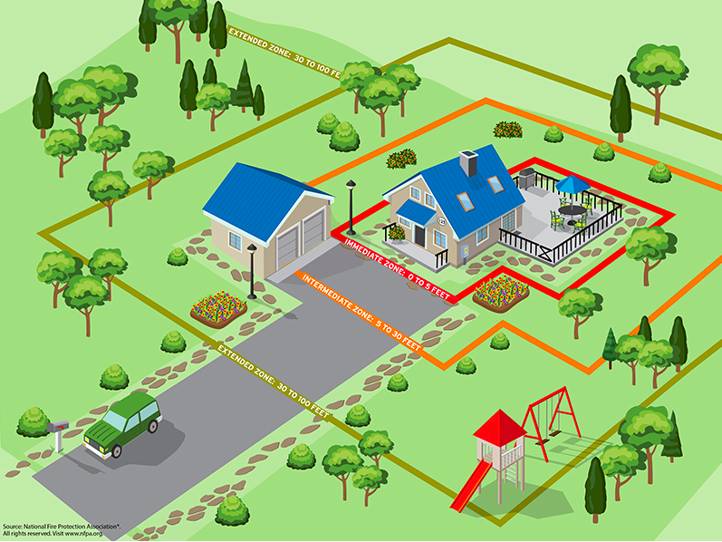Homesteading Under Fire: Wildfire Preparedness i...