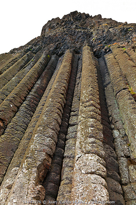 Giant's Causeway showing hexagonal basalt columns meeting the ocean